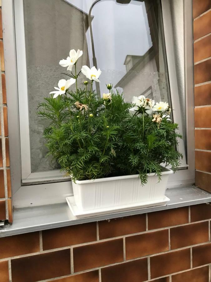 Ferienhaus Loehr Mit Treppenlift Villa Koblenz  Kültér fotó